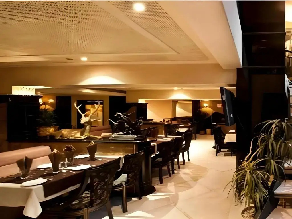 Rajhans Hotel - Général