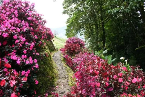 Hacienda las Nubes