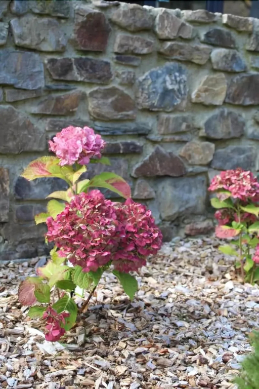 Maison Jules - фото 8