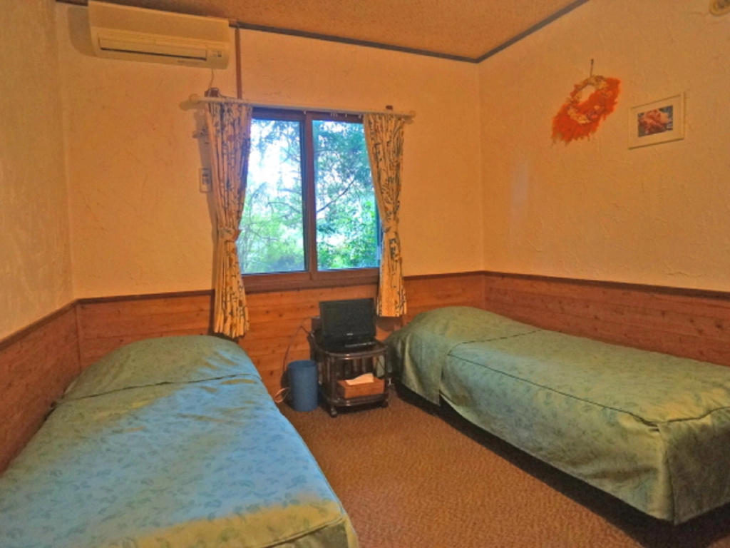 Economy Double room (twin beds)