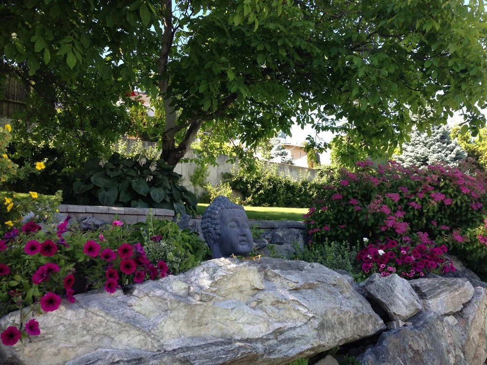 Image 19