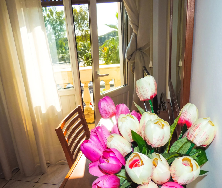Balcony & Terrace