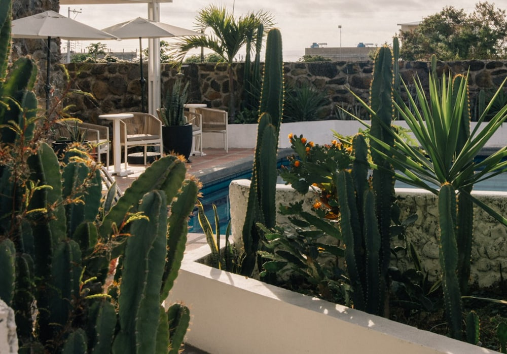 Hotel Pimampiro