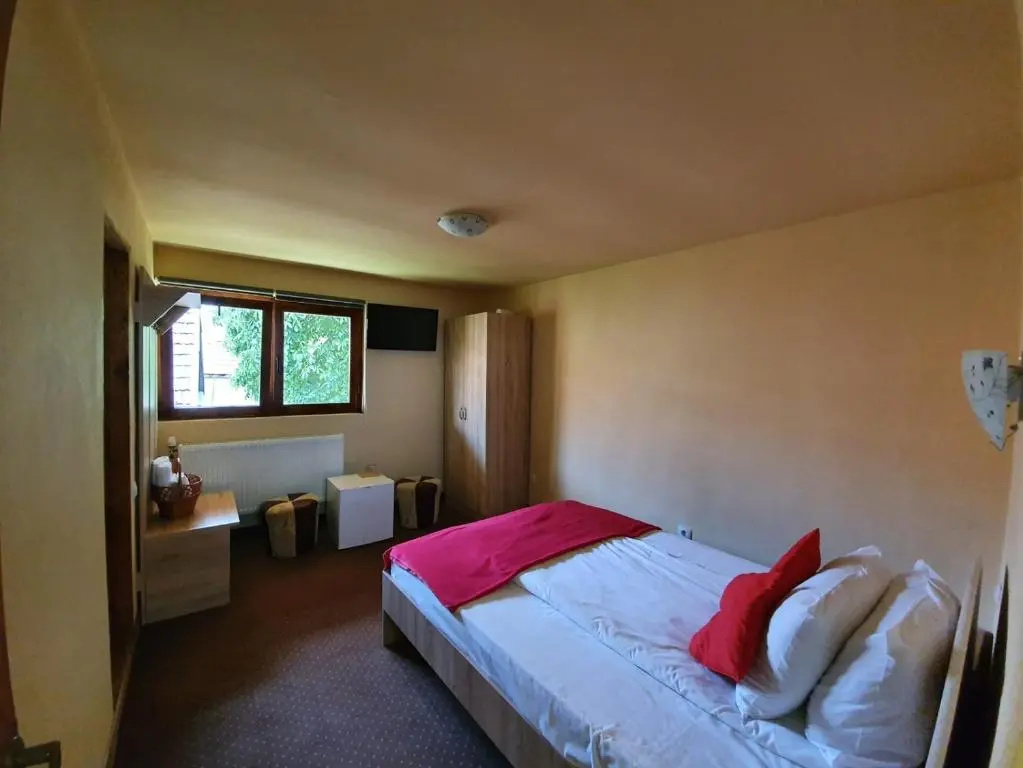 Pensiunea Leia - Chambres