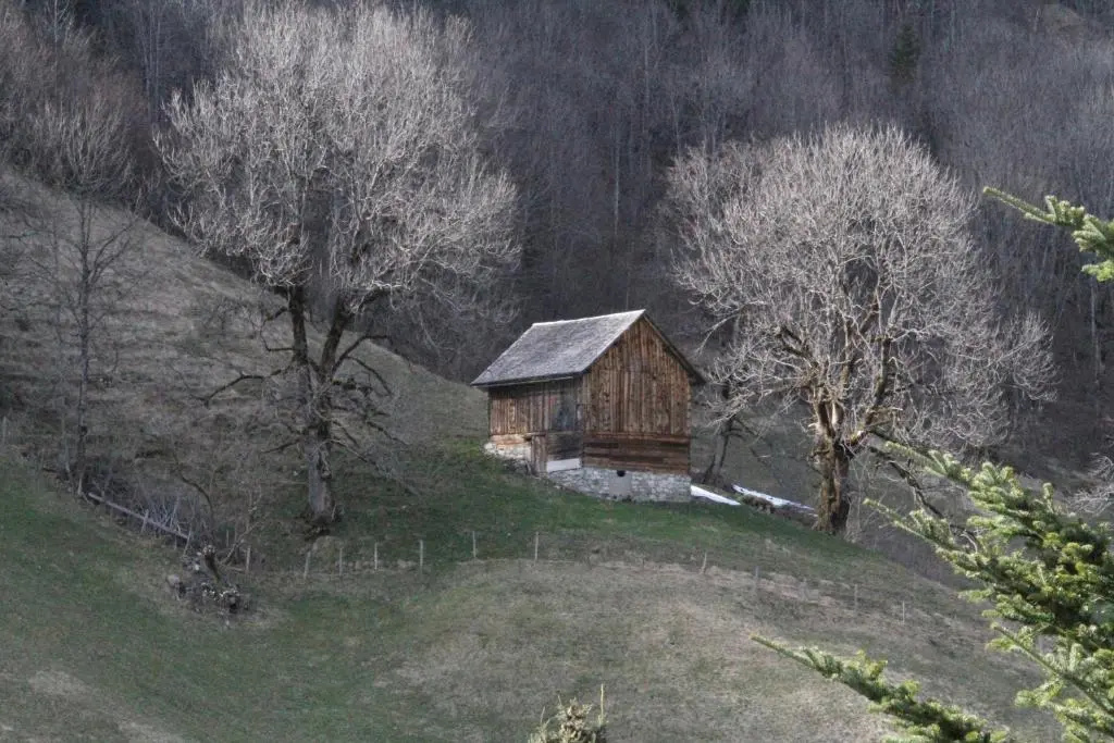 Alpenlodge Brand - Chambres
