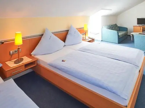 Hotel Münster - Général