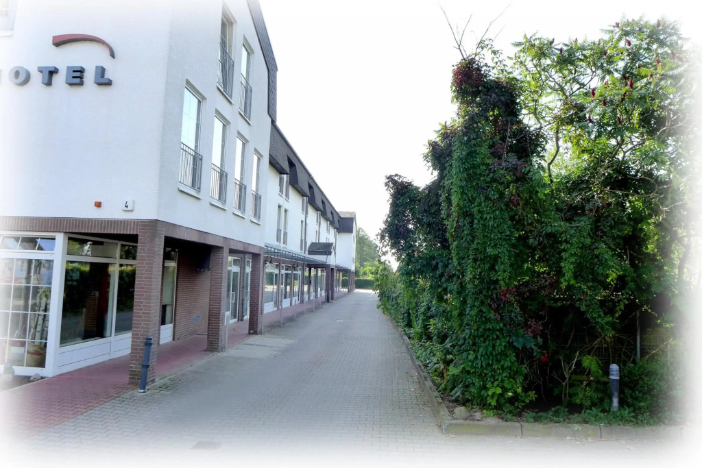 Image 15