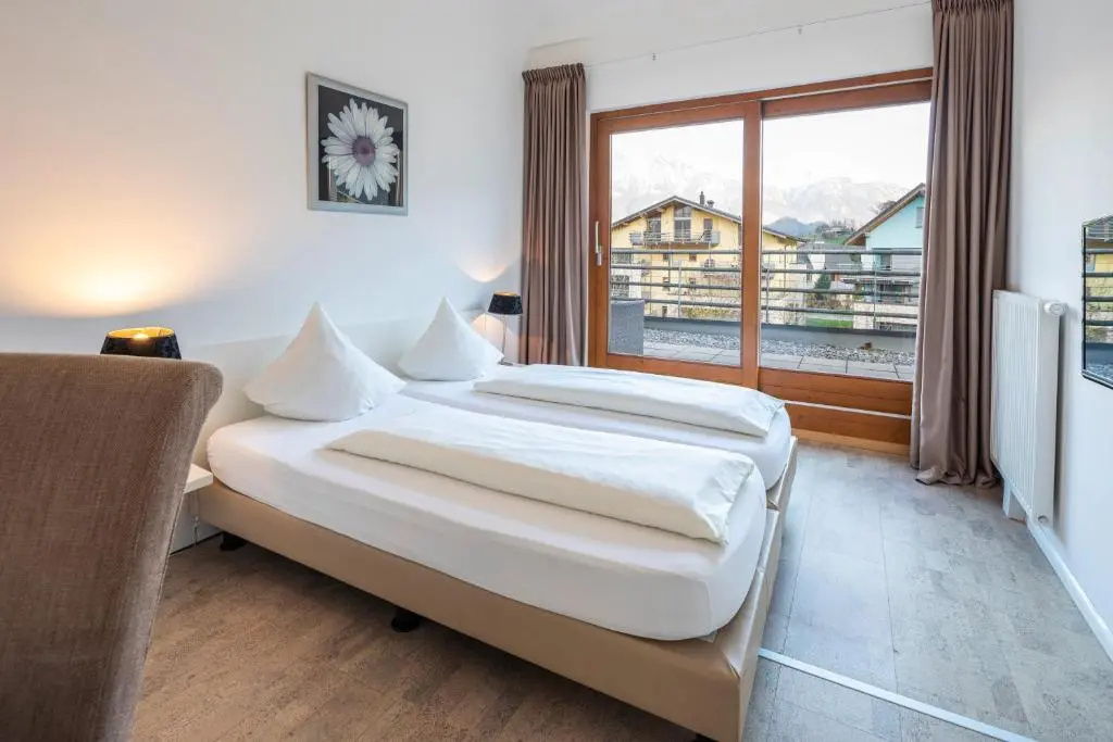 Standard Double room with mountain view (full double bed)