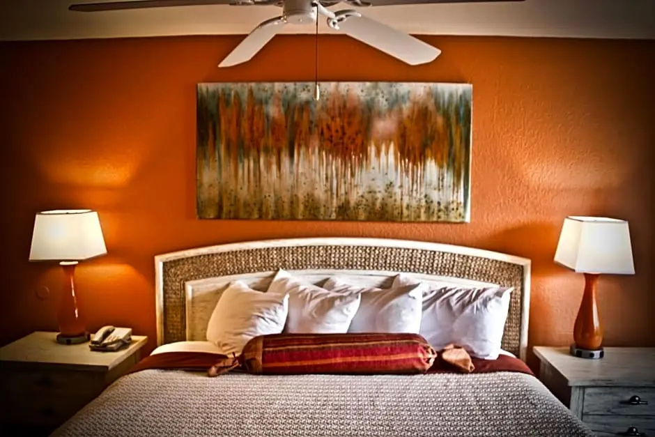 Magic Tree Resort - Chambres