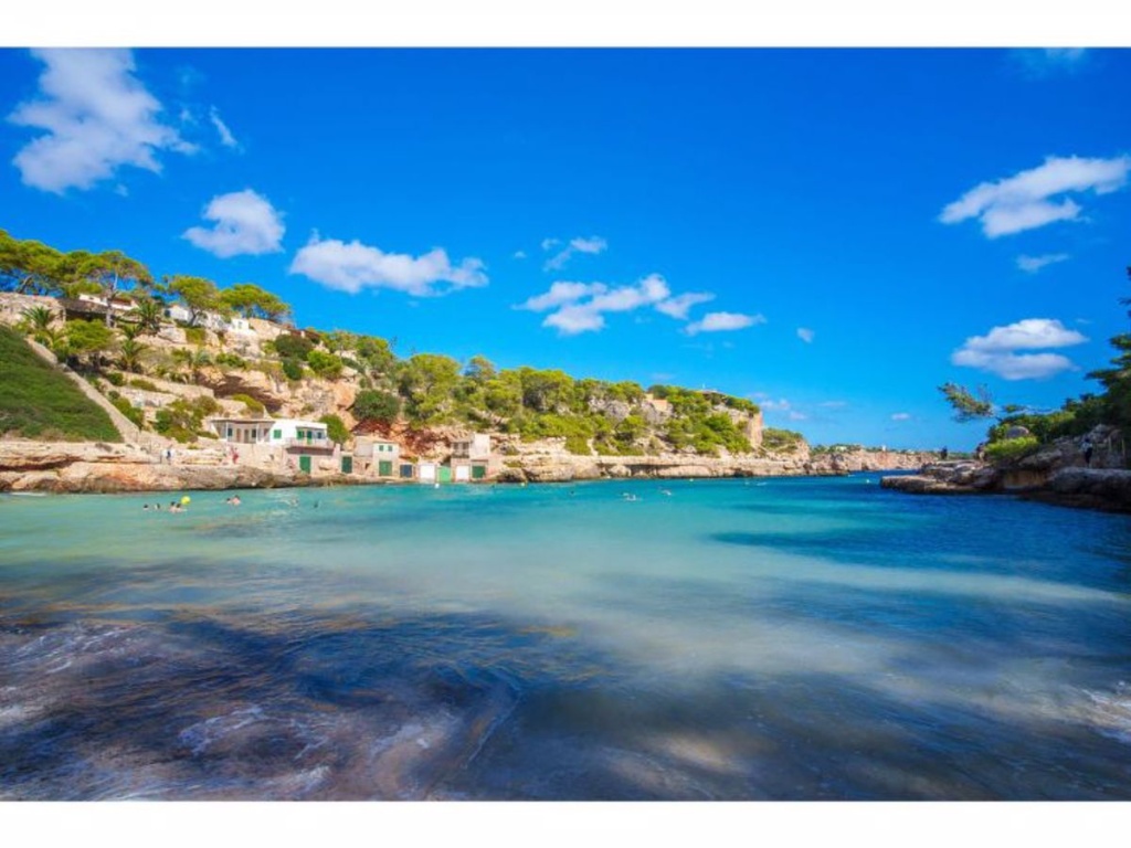 Beach & Waterfront
