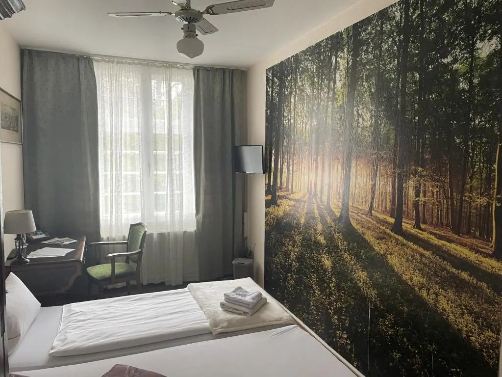 Standard Double room (full double bed)