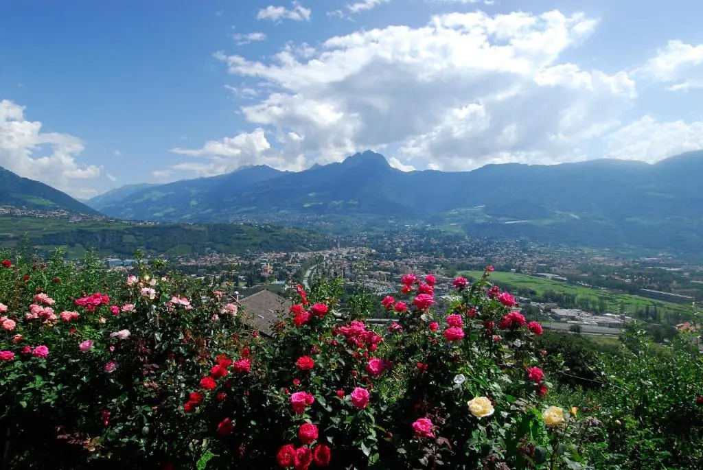 Hotel Gasthof Waldschenke - Chambres