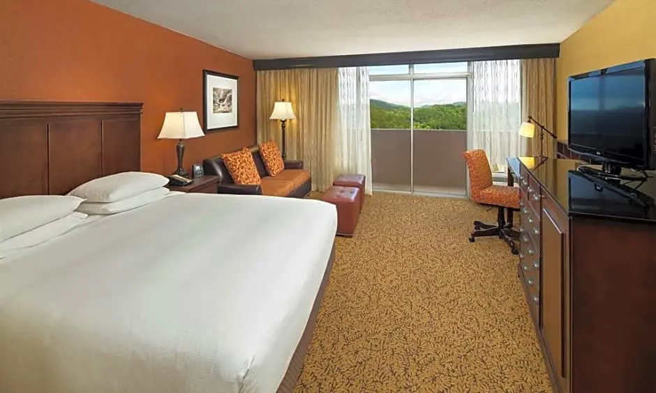 The Park Vista - a DoubleTree by Hilton Hotel - Gatlinburg - Chambres