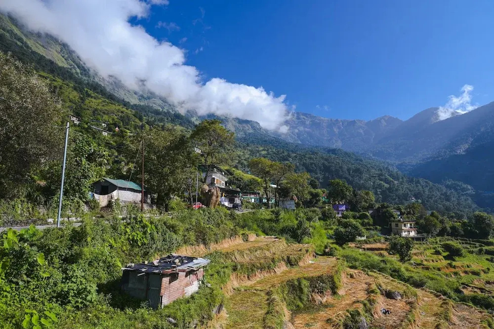 Shiva Homestay