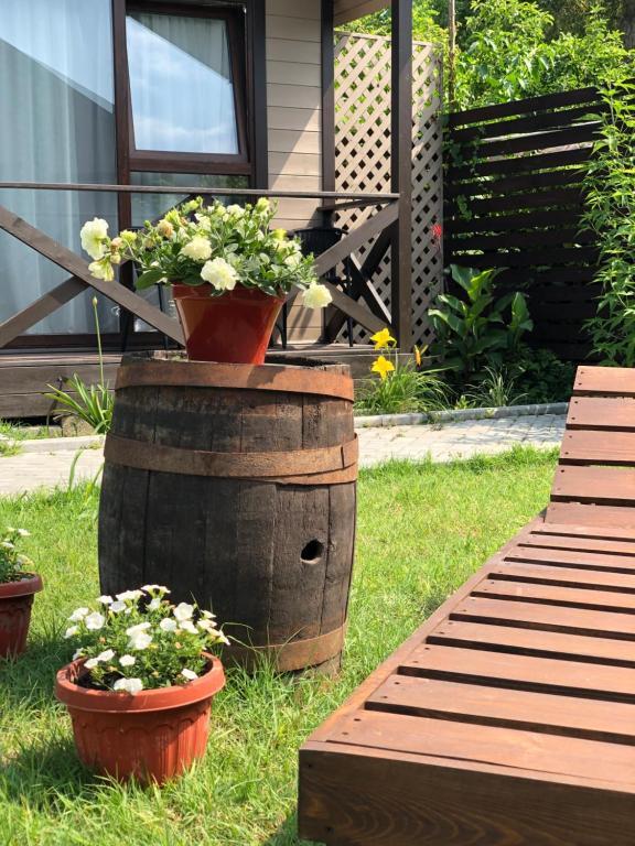 Одноместный номер Standard в Шезлонг