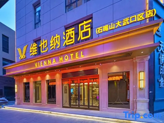 Vienna Hotel (Shizuishan Dawukou) - фото 4
