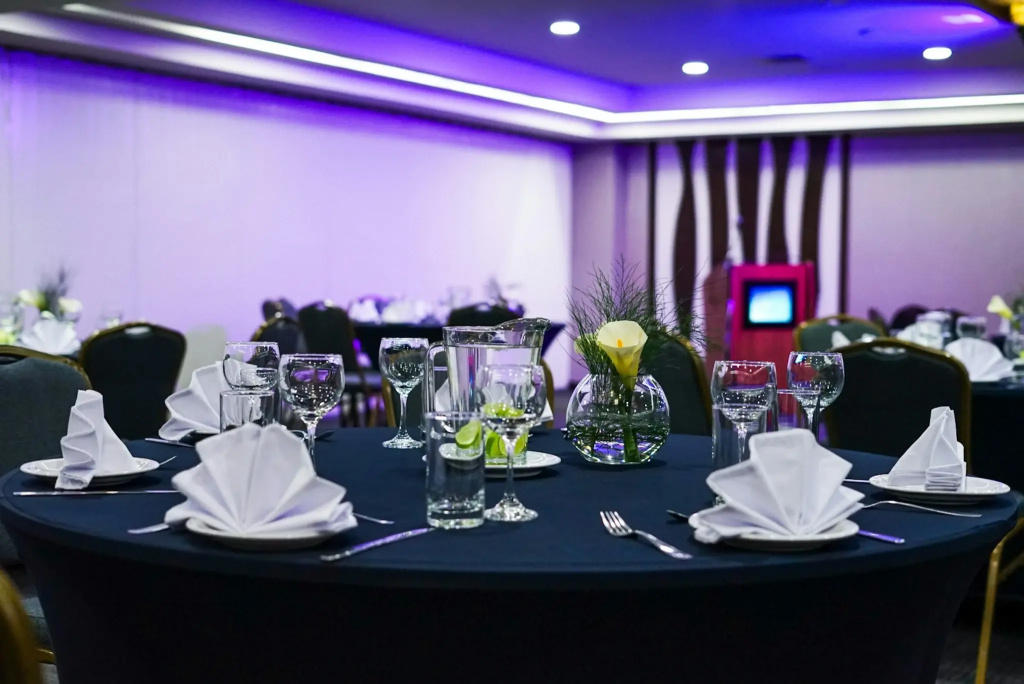 Stannum Boutique Hotel & Spa - Général