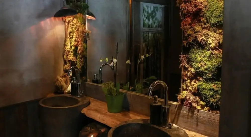 Green Ecolodge