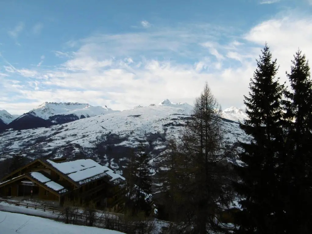 Voir la photo 1 — Appartement La Plagne, 1 pièce, 3 personnes - FR-1-353-6