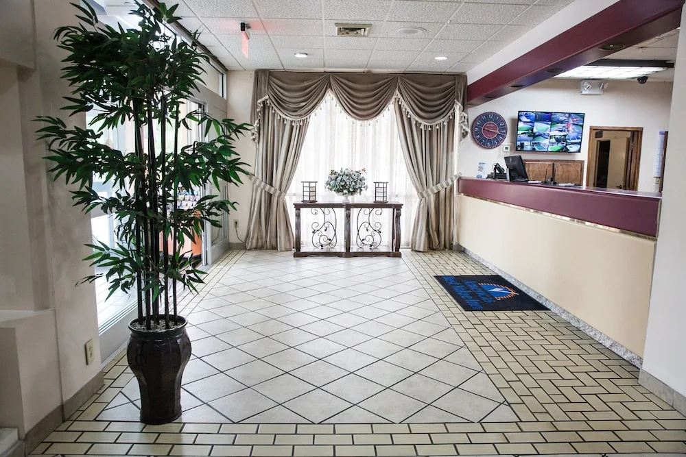 Lobby & Reception