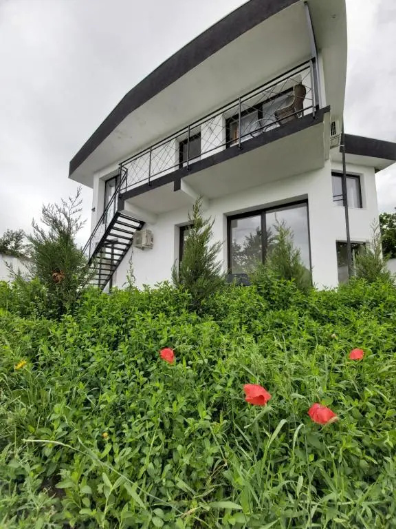 Accent House