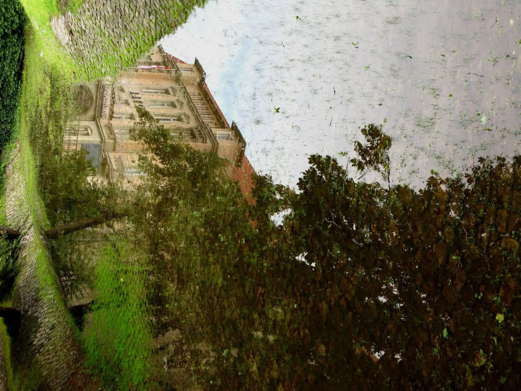 Image 13