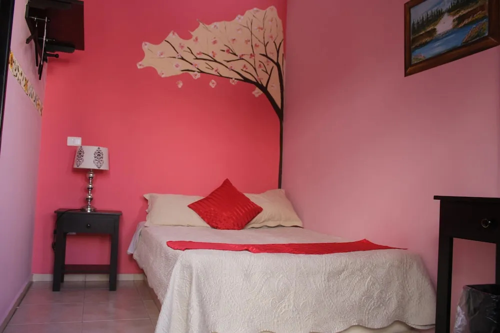Hotel Boutique La Orquidea - Chambres