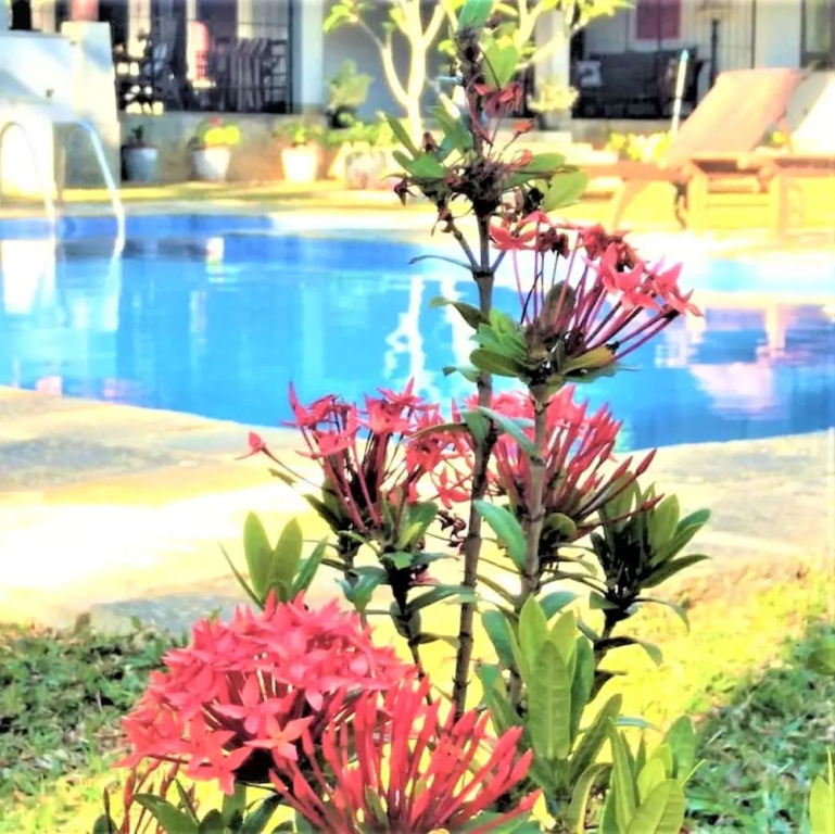 Ardeen Villa