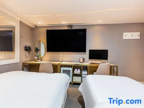 Standard Double room (twin beds)