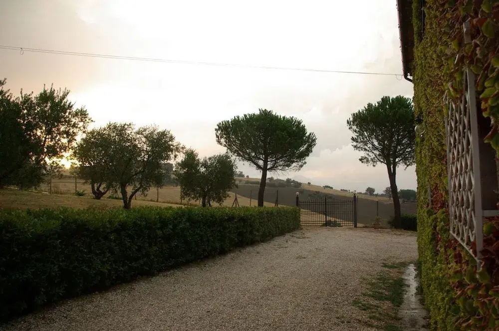 Hotel photo 37