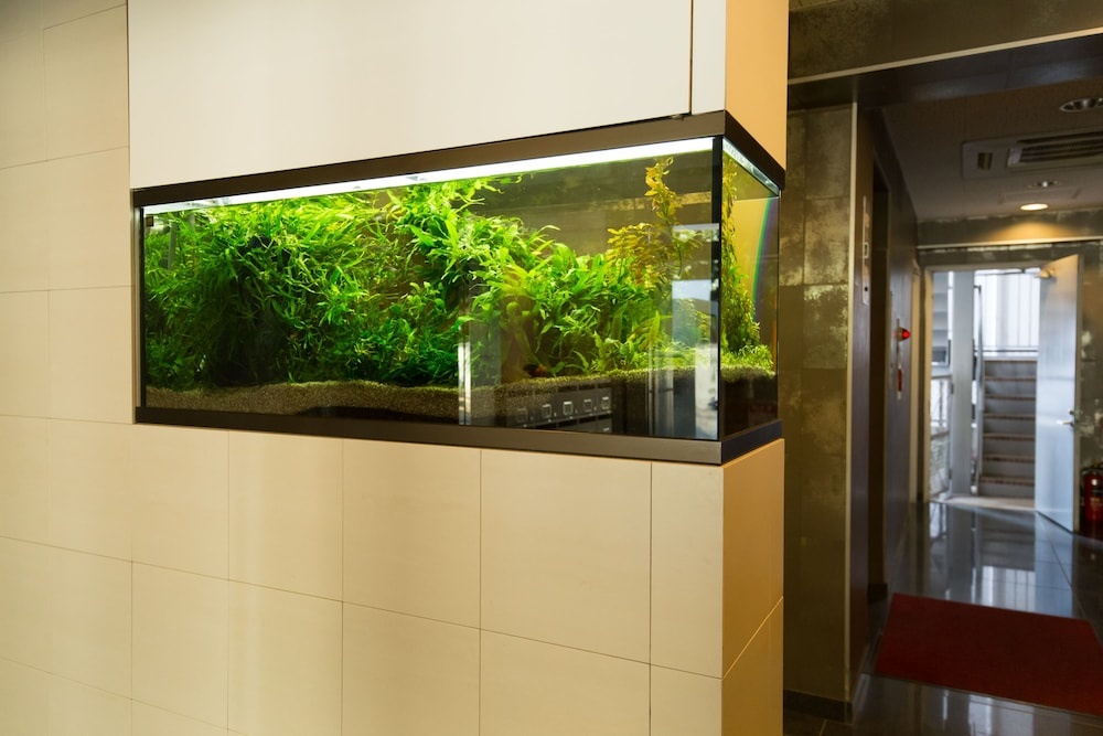 Banboo House 사진 16