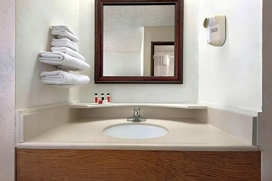 1 Bedroom Deluxe Quadruple Suite