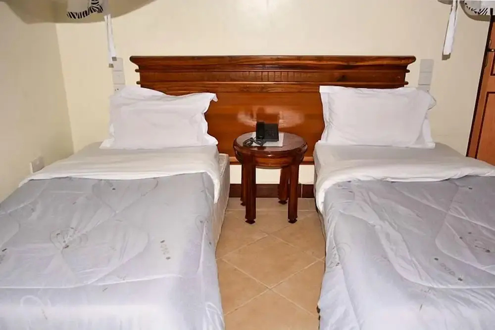 Standard Double room (twin beds)