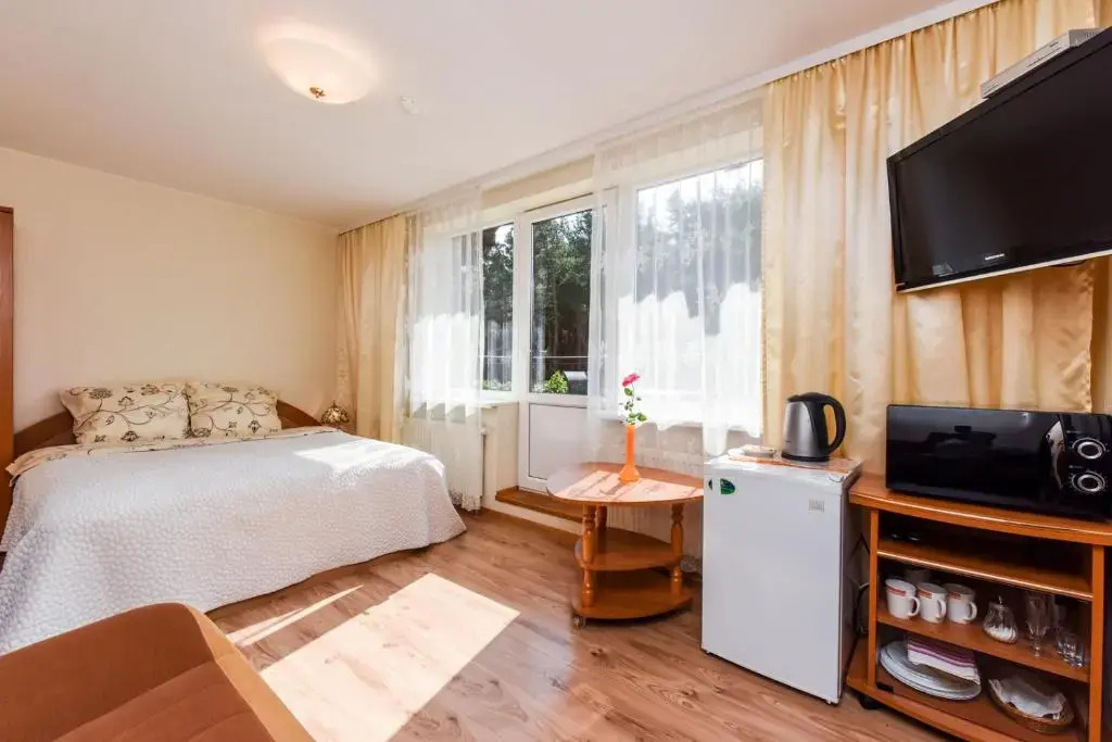 Standard Double room (full double bed)