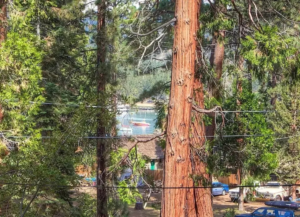 Zephyr Cabin 3 Bedroom Home by RedAwning