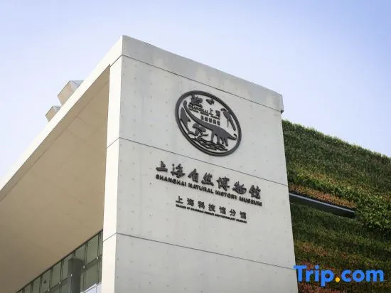 Shanghai Ailongbojiang Business Hotel (Shanghai Natural Museum Subway Station)