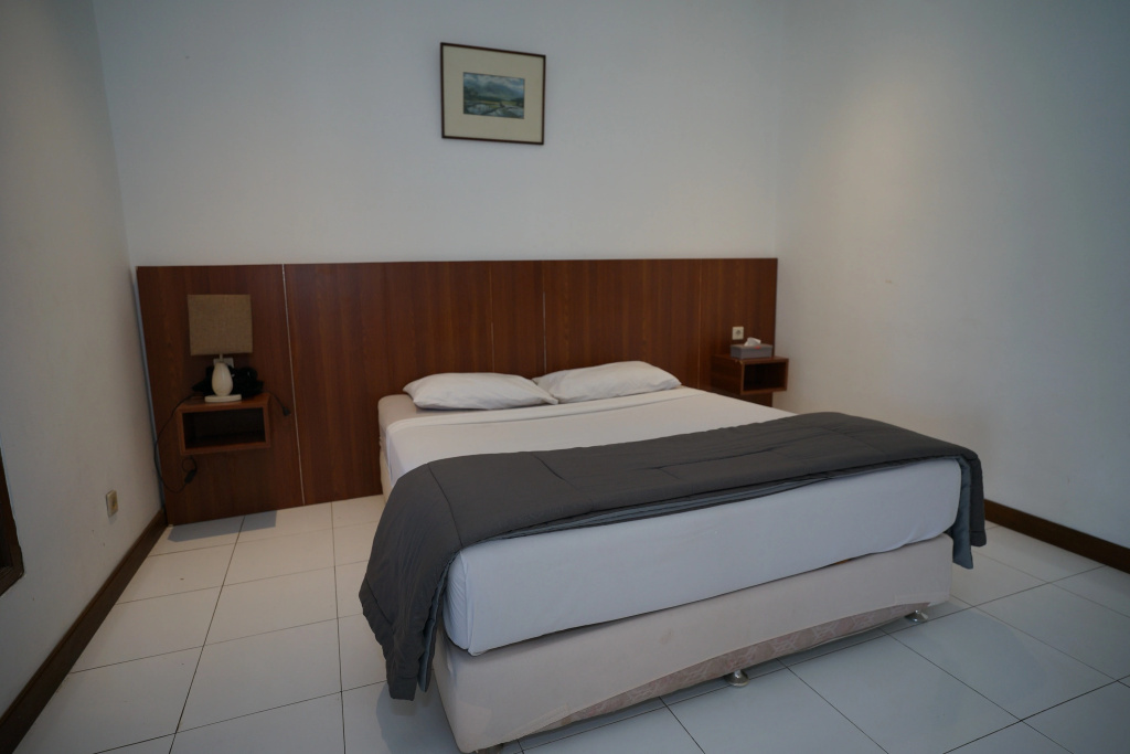 Deluxe Double room (twin beds)