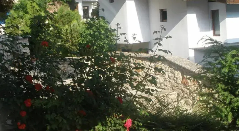 Hotel Los Dos Gallos - Dvata Petela