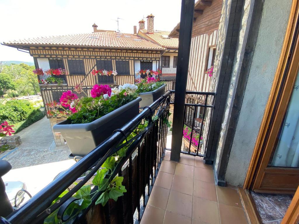 Hostal La Alberca by null