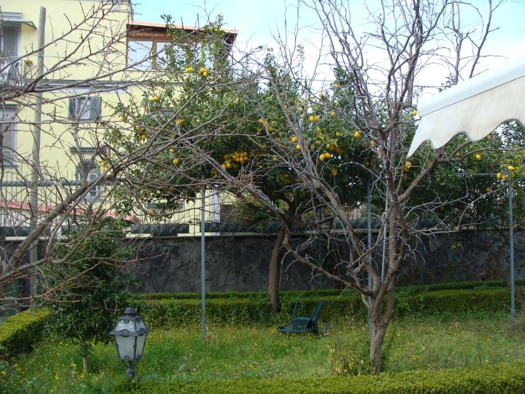 Villa Luisa
