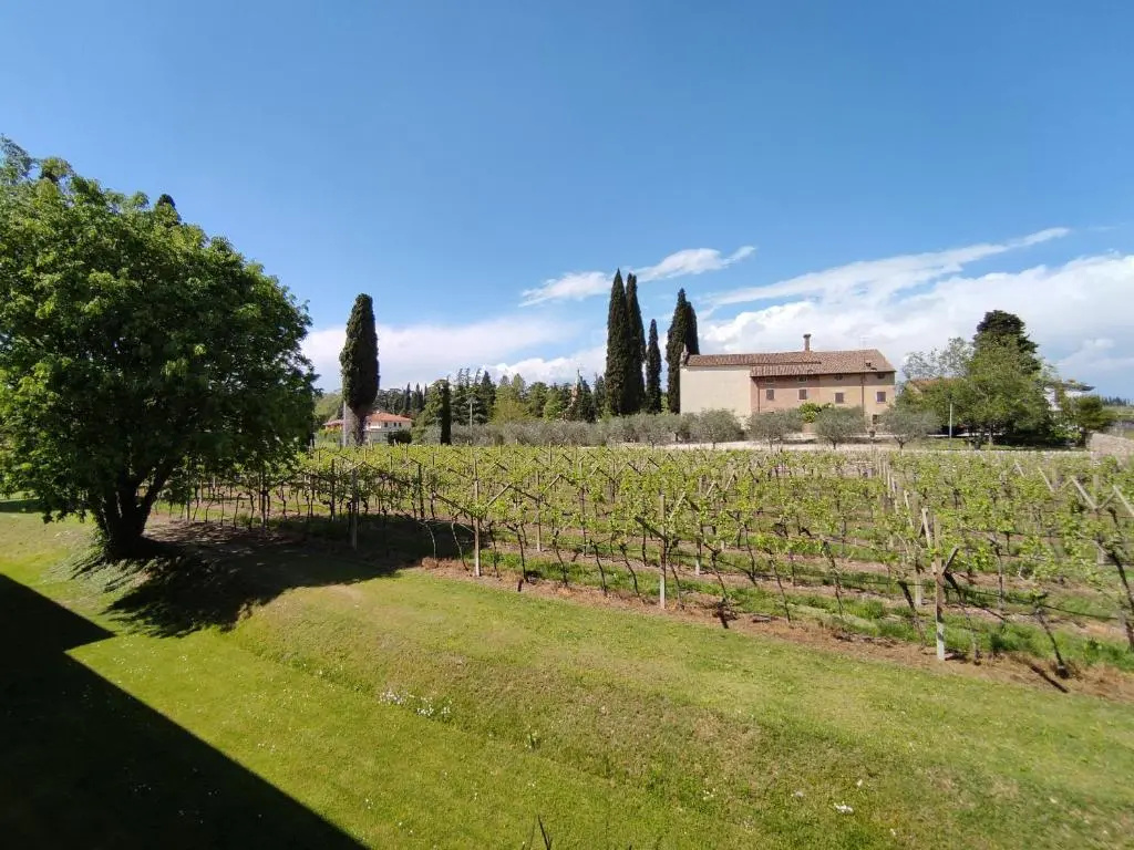 Agriturismo La Vigna - Chambres