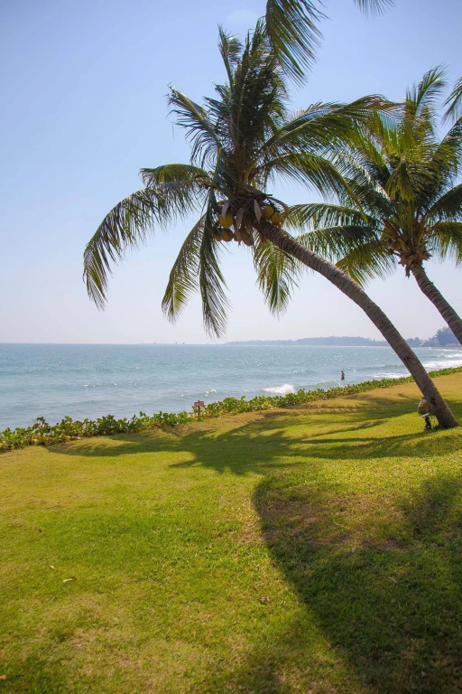 Beach & Waterfront