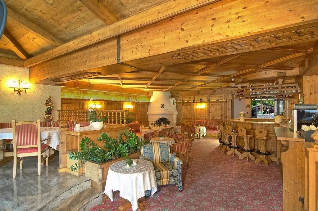 Alpenhotel Zechmeisterlehen - Général