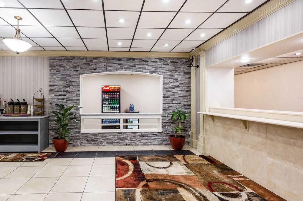 Lobby & Reception