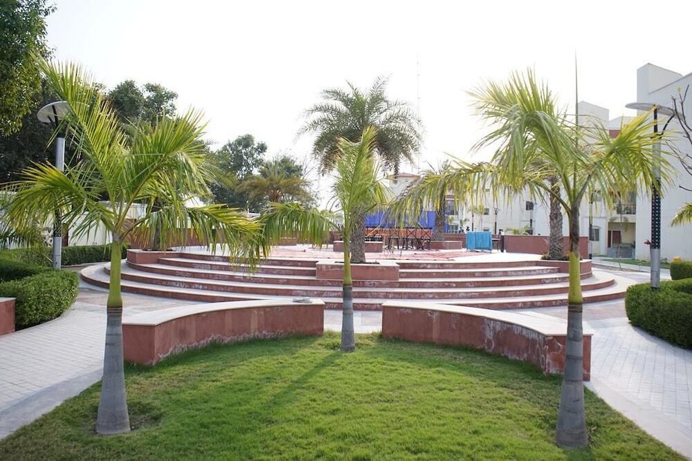 Image 29