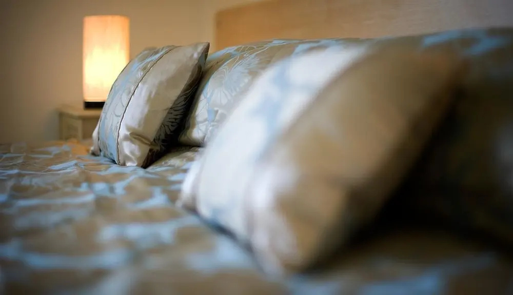 The Wroxeter Hotel - Chambres