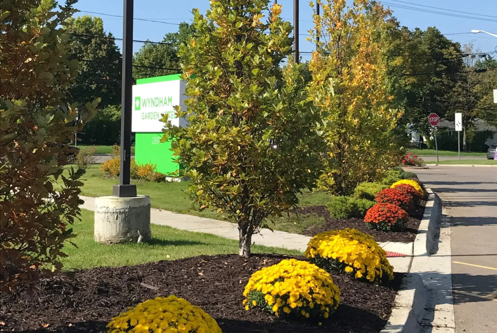 Wyndham Garden Ann Arbor - Général