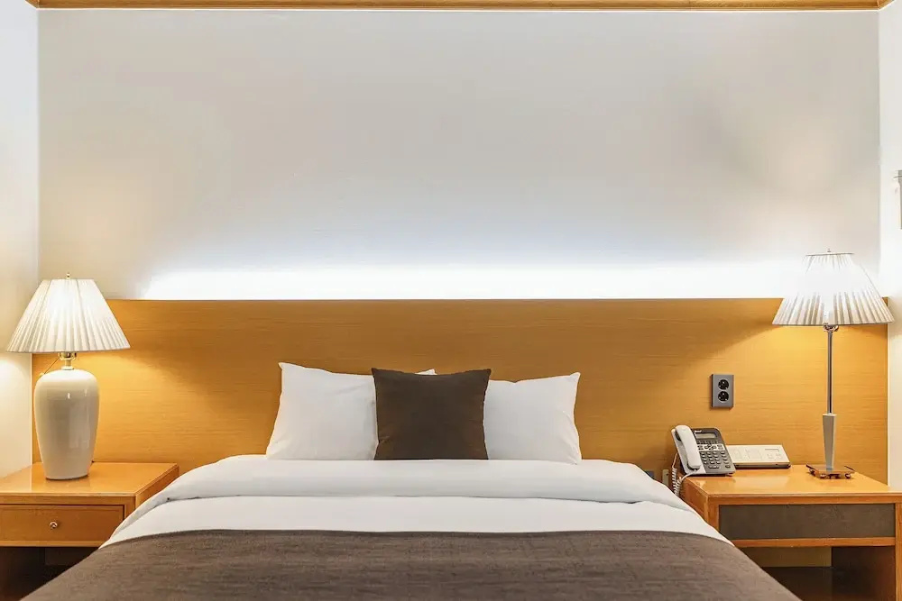 Deluxe Double room with city view (full double bed)