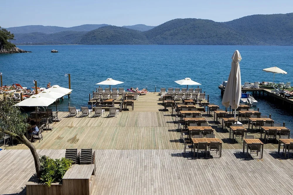 Beach & Waterfront