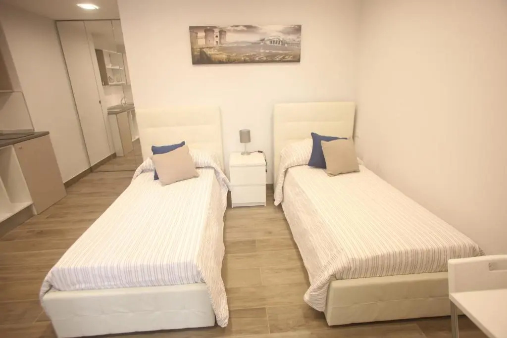 Standard Double room (twin beds)